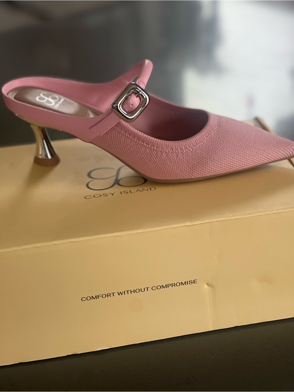 Cosy Island Pink Pointed Mule with Metallic Buckle Heel